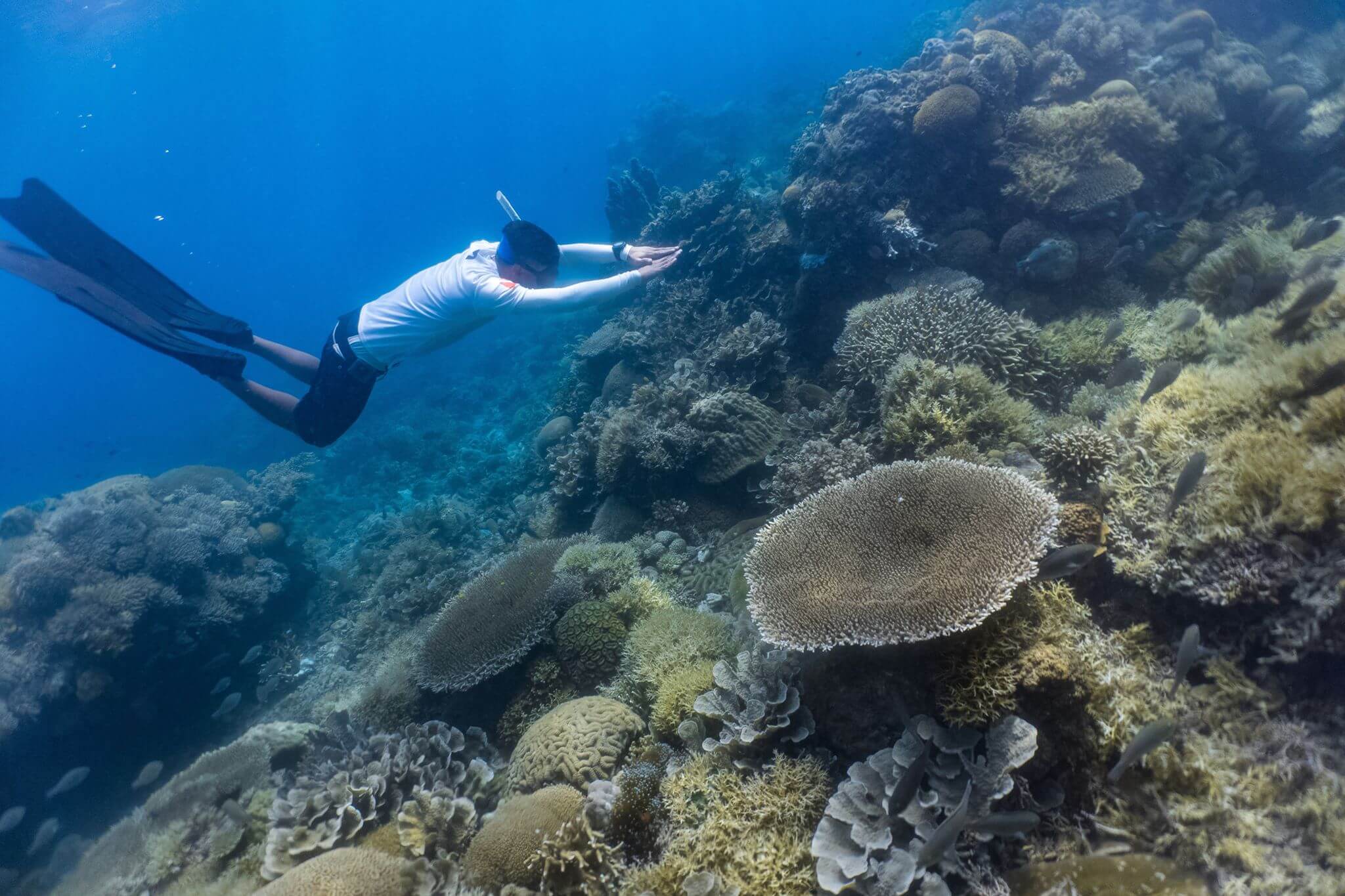 freediving-in-philippines-the-ultimate-list